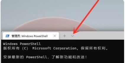 Win11命令提示符怎么打開(kāi) Win11命令提示符打開(kāi)方法