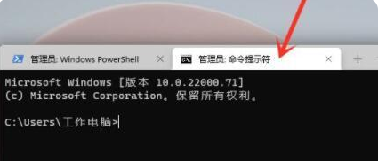 Win11命令提示符怎么打開(kāi) Win11命令提示符打開(kāi)方法