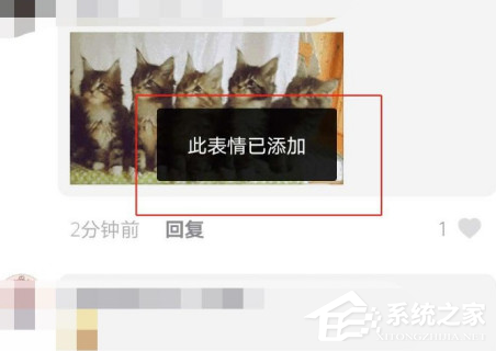 抖音貓咪搖頭蹦迪表情包怎么發(fā)？抖音5只貓點(diǎn)頭表情包下載
