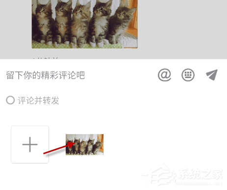 抖音貓咪搖頭蹦迪表情包怎么發(fā)？抖音5只貓點(diǎn)頭表情包下載
