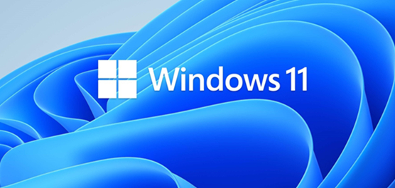 怎么免安裝體驗Win11？免安裝體驗Win11的方法