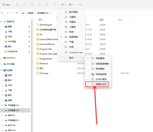 Win11如何查看隱藏文件？Win11查看隱藏文件的方法