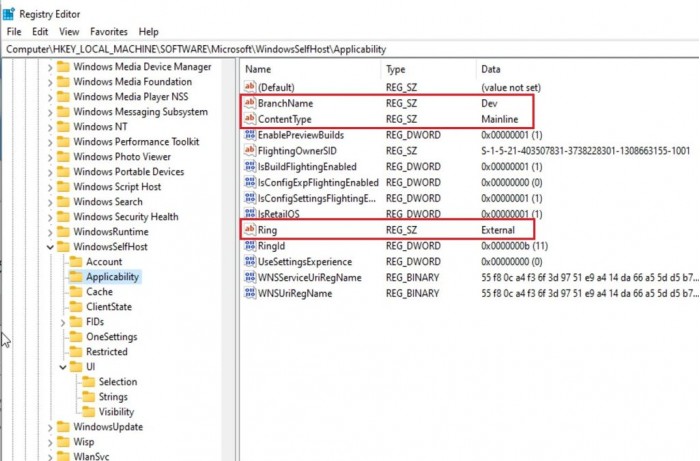 如何在不符合條件設備上接收首批Windows 11版本更新？