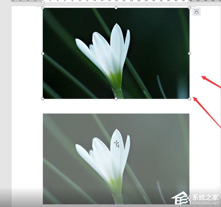 Word如何制作雙重曝光特效?制作雙重曝光特效的方法