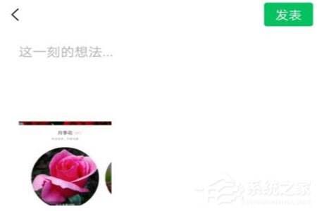 形色識(shí)花怎么分享到微信？形色識(shí)花怎么分享到微信的方法