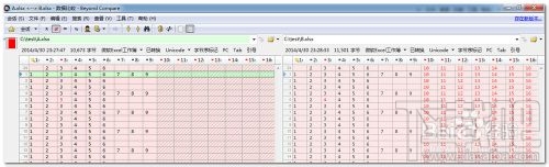 怎樣用Beyond Compare比較兩個(gè)excel表格文件差異