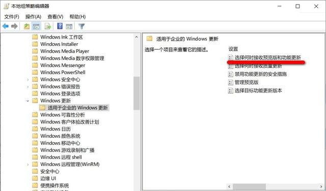 如何阻止電腦自動升級到Win10 21H1版本？