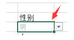 excel自定義表格顏色規(guī)則教程分享