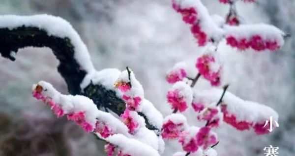 又是一年小寒日，小寒詩詞你可知？朋友圈文案有著落了