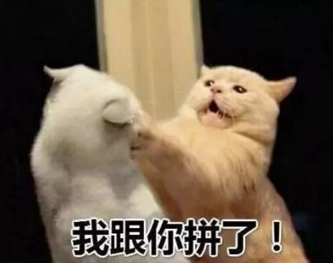 抖音新農合是什么意思？新農合干一架是什么梗
