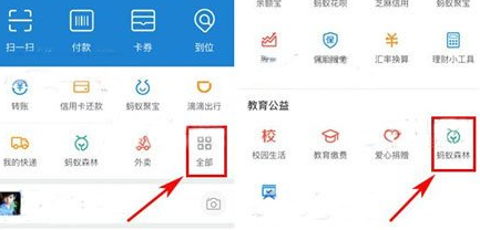 在支付寶里怎么將行走捐打開(kāi)？將行走捐打開(kāi)的步驟一覽