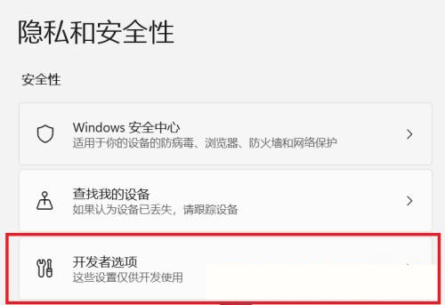 Win11怎么開啟開發(fā)者選項?Win11打開開發(fā)人員選項教程
