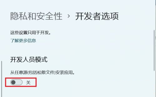 Win11怎么開啟開發(fā)者選項?Win11打開開發(fā)人員選項教程