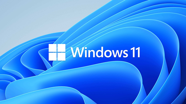 Win11的D盤無法顯示怎么辦？Win11D盤無法顯示的解決方法