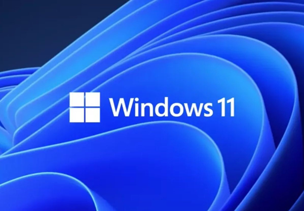 Win11的更新文件在哪里？Win11更新文件的位置