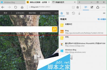 win10正式版Edge瀏覽器收藏夾在什么位置？收藏夾具體位置說明