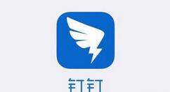 釘釘如何查看企業(yè)榮譽(yù)墻？查看企業(yè)榮譽(yù)墻的方法介紹