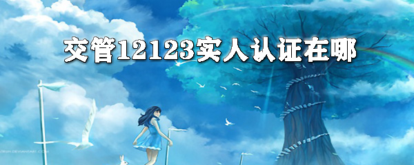 交交管12123怎么實人認(rèn)證？交管12123實人認(rèn)證方法分享