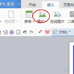 使用wps設(shè)計(jì)出一款簡(jiǎn)約派簡(jiǎn)歷具體操作步驟