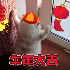Springboot居然可以設(shè)置動態(tài)的Banner(推薦)