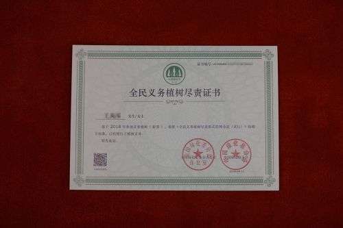 螞蟻森林全民義務(wù)植樹盡責證書怎么領(lǐng) 全民義務(wù)植樹盡責證書獲取方法