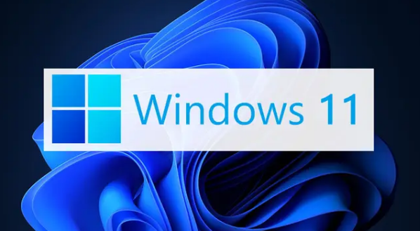 Windows11設(shè)置文件后綴名技巧分享