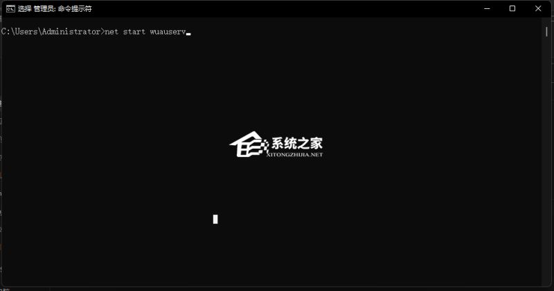 Win11 22H2無(wú)法更新怎么回事
