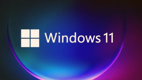 win11跳fatal error錯(cuò)誤怎么辦