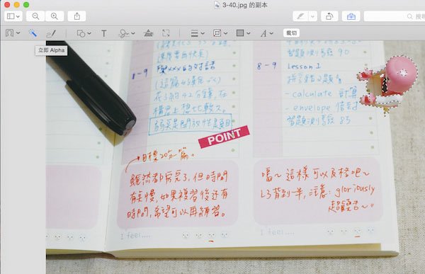 Mac OS的瀏覽功能有什么用?Mac預(yù)覽功能中的一些實(shí)用技巧