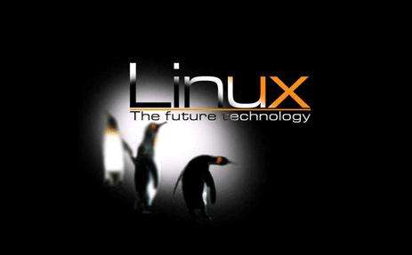 linux的虛擬內(nèi)存機(jī)制