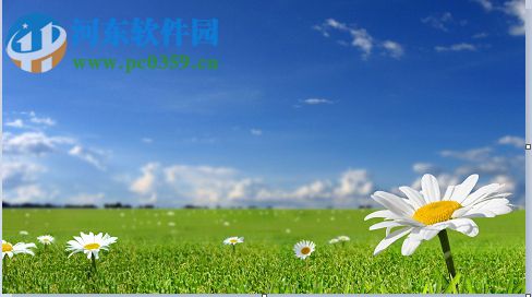 搜狗壁紙?jiān)趺磩h除已下載的圖片