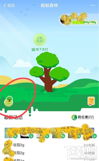 螞蟻森林模擬地圖從哪進？