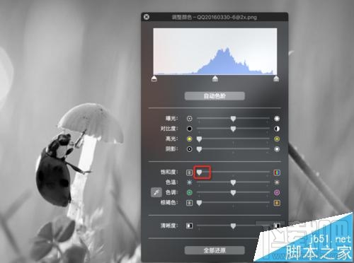 mac系統中怎么用自帶的預覽工具將圖片變成黑白色？