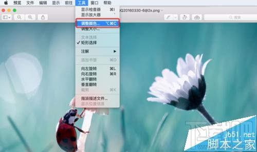 mac系統中怎么用自帶的預覽工具將圖片變成黑白色？