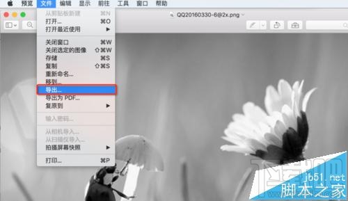 mac系統中怎么用自帶的預覽工具將圖片變成黑白色？