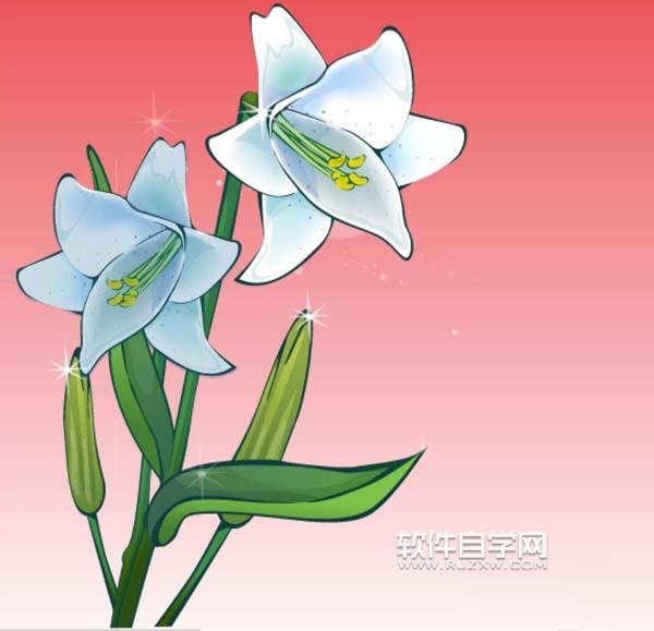 ai怎么畫(huà)百合花效果圖