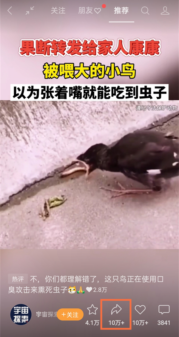 微信視頻號(hào)怎么分享鏈接