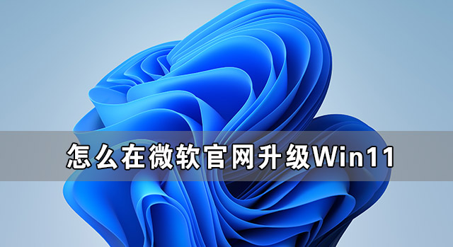 怎么在微軟官網(wǎng)升級Win11 Win11官方升級方法介紹