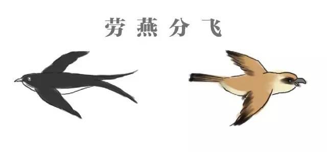 2021年5月10日支付寶螞蟻莊園答案是什么？螞蟻莊園小課堂5.10今日最新答案
