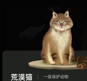 螞蟻森林巡護(hù)動物有什么用?支付寶螞蟻森林巡護(hù)動物怎么召回