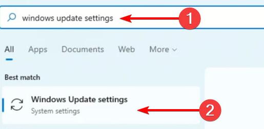 Win11攝像頭打不開怎么辦？Win11攝像頭打不開的解決方法