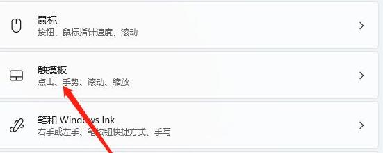 Win11觸控板如何關(guān)閉？Win11關(guān)閉觸控板的方法
