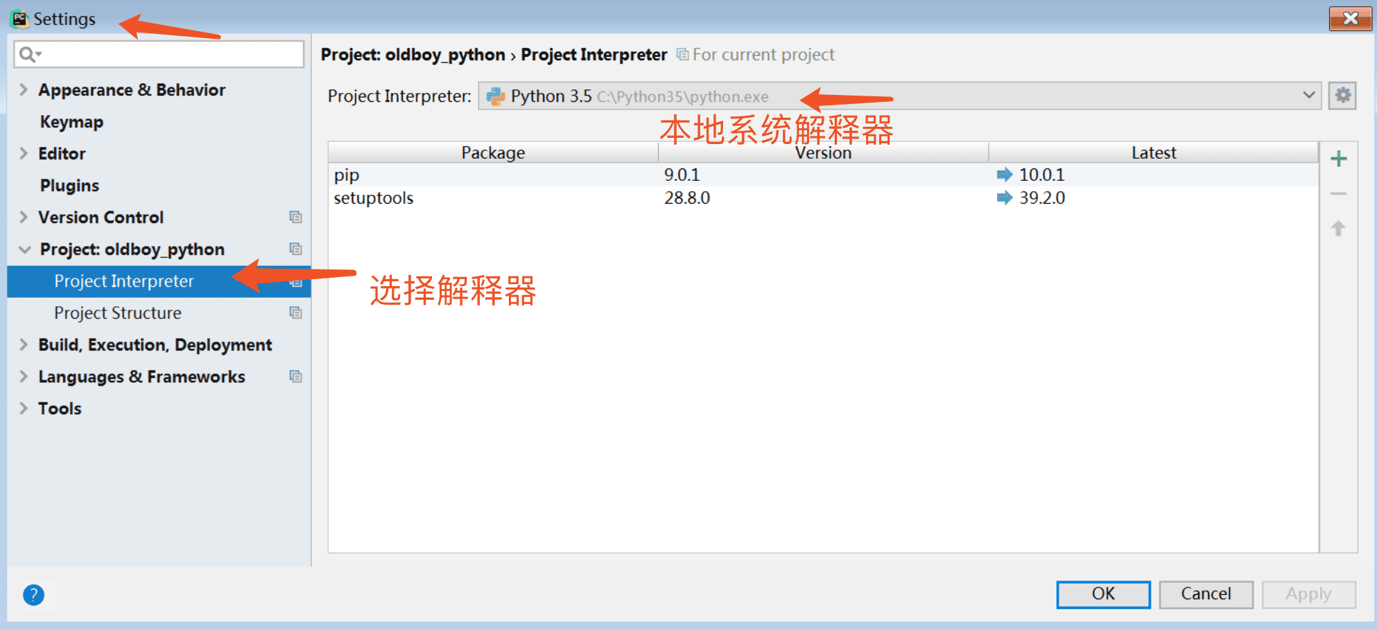 Python本地及虛擬解釋器配置過程解析
