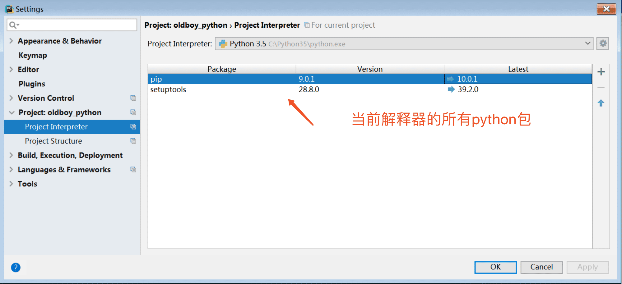 Python本地及虛擬解釋器配置過程解析