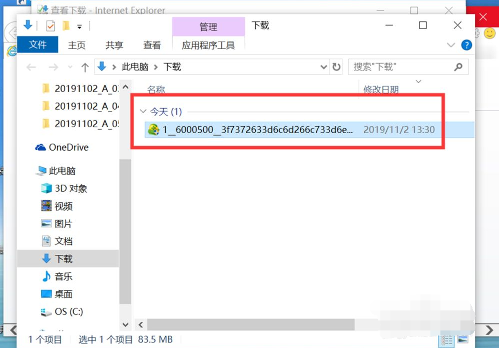 Win10專業版IE瀏覽器下載的文件在哪?