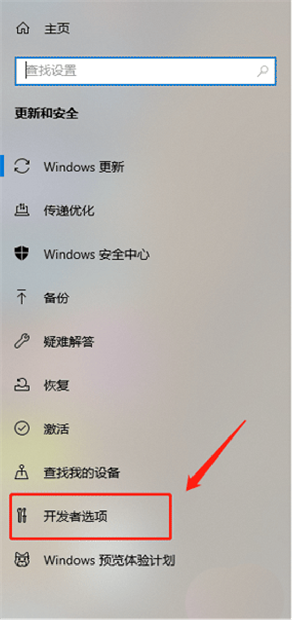 Win10怎么開啟開發人員模式？