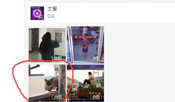 網易云音樂gif動圖怎么下載保存？下載保存gif動圖步驟分享