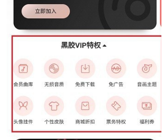 網(wǎng)易云音樂(lè)黑膠vip和音樂(lè)包有什么區(qū)別 黑膠vip和音樂(lè)包性價(jià)比對(duì)比