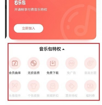 網(wǎng)易云音樂(lè)黑膠vip和音樂(lè)包有什么區(qū)別 黑膠vip和音樂(lè)包性價(jià)比對(duì)比