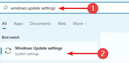 Win11攝像頭無法開啟怎么辦？Win11攝像頭無法開啟的解決方法